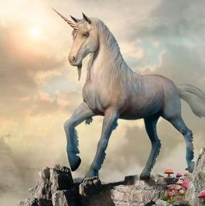 Meet your Posher, Lonna